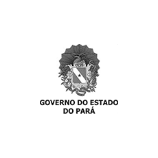 Logo Governo do Pará — cliente SIX Creative